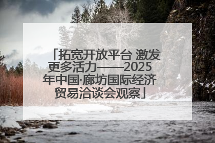 拓宽开放平台 激发更多活力——2025年中国·廊坊国际经济贸易洽谈会观察