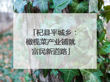 杞县平城乡：橄榄菜产业铺就富民新道路