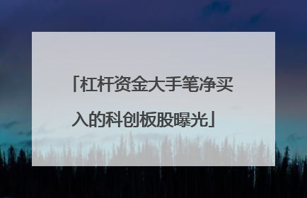 杠杆资金大手笔净买入的科创板股曝光