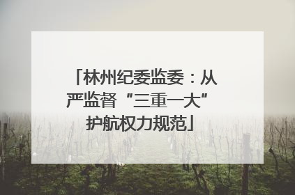 林州纪委监委：从严监督“三重一大” 护航权力规范