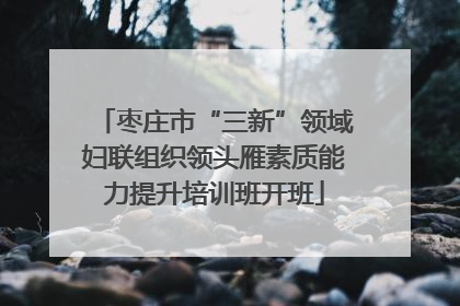 枣庄市“三新”领域妇联组织领头雁素质能力提升培训班开班