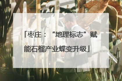 枣庄：“地理标志”赋能石榴产业蝶变升级