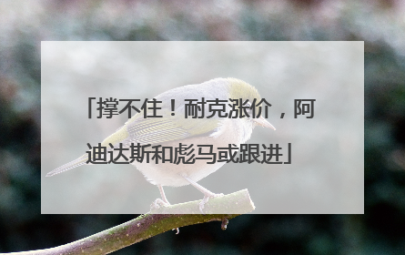 撑不住!耐克涨价,阿迪达斯和彪马或跟进