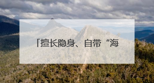 擅长隐身、自带“海狸尾” 彩虹-7无人机究竟有多牛？