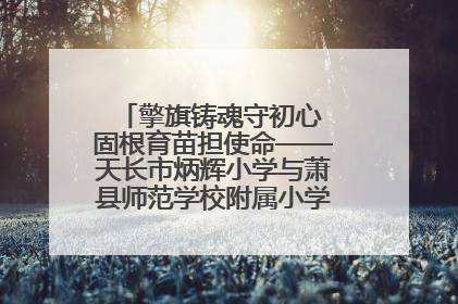 擎旗铸魂守初心 固根育苗担使命——天长市炳辉小学与萧县师范学校附属小学结对共建活动纪实