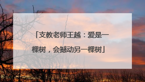 支教老师王越：爱是一棵树，会撼动另一棵树
