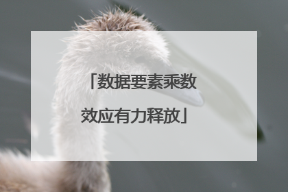 数据要素乘数效应有力释放