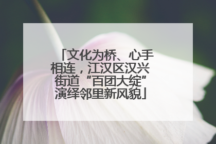 文化为桥、心手相连，江汉区汉兴街道“百团大绽”演绎邻里新风貌