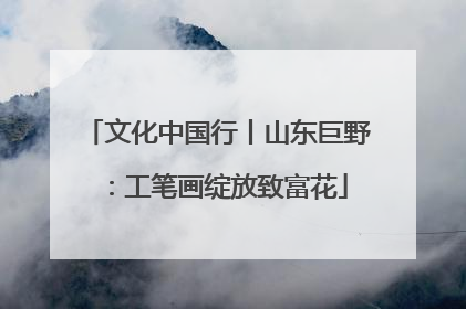 文化中国行丨山东巨野：工笔画绽放致富花