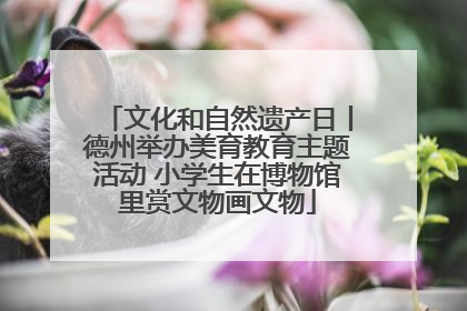 文化和自然遗产日丨德州举办美育教育主题活动 小学生在博物馆里赏文物画文物