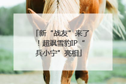 新“战友”来了！超飒雪豹IP“兵小宁”亮相