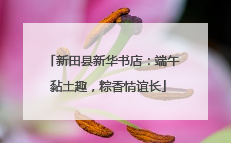 新田县新华书店：端午黏土趣，粽香情谊长