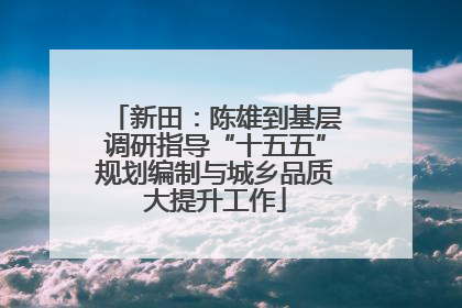 新田：陈雄到基层调研指导“十五五”规划编制与城乡品质大提升工作