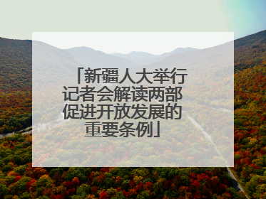 新疆人大举行记者会解读两部促进开放发展的重要条例