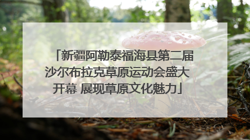新疆阿勒泰福海县第二届沙尔布拉克草原运动会盛大开幕 展现草原文化魅力