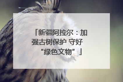 新疆阿拉尔：加强古树保护 守好“绿色文物”