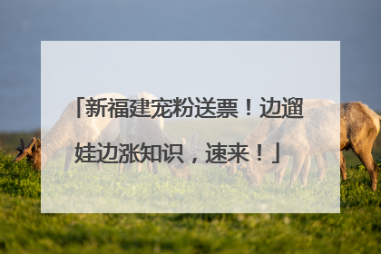 新福建宠粉送票！边遛娃边涨知识，速来！