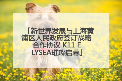 新世界发展与上海黄浦区人民政府签订战略合作协议 K11 ELYSEA璀璨启幕