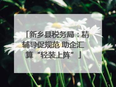 新乡县税务局：精辅导促规范 助企汇算“轻装上阵”