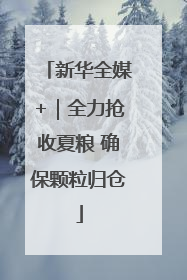 新华全媒+｜全力抢收夏粮 确保颗粒归仓