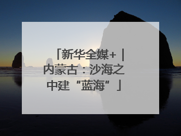 新华全媒+｜内蒙古：沙海之中建“蓝海”