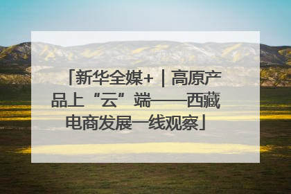 新华全媒+｜高原产品上“云”端——西藏电商发展一线观察