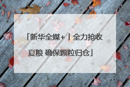 新华全媒+丨全力抢收夏粮 确保颗粒归仓