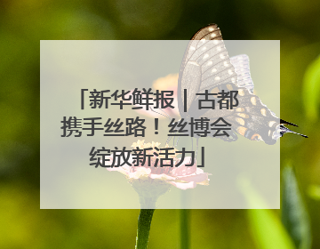 新华鲜报｜古都携手丝路！丝博会绽放新活力