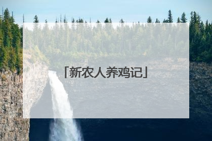新农人养鸡记