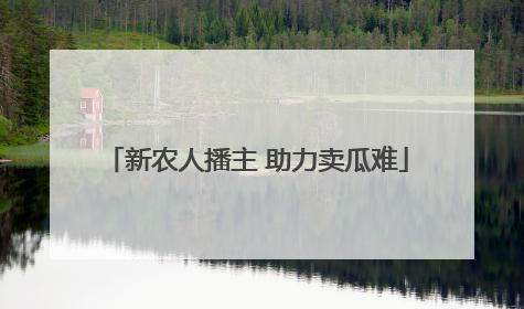 新农人播主 助力卖瓜难