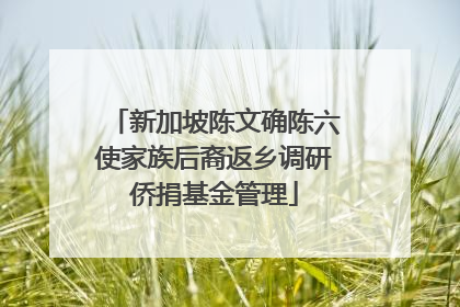 新加坡陈文确陈六使家族后裔返乡调研侨捐基金管理