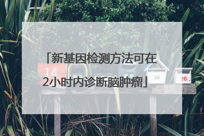 新基因检测方法可在2小时内诊断脑肿瘤