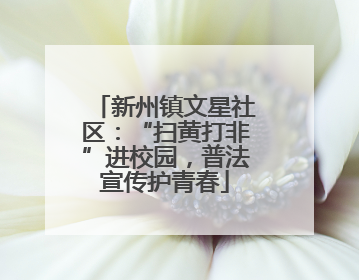 新州镇文星社区：“扫黄打非”进校园，普法宣传护青春