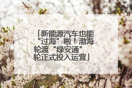 新能源汽车也能“过海”啦！渤海轮渡“绿安通” 轮正式投入运营