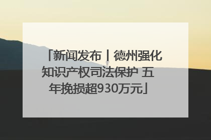 新闻发布丨德州强化知识产权司法保护 五年挽损超930万元