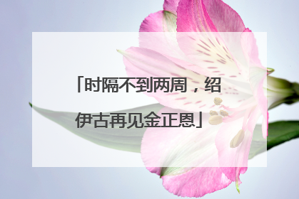 时隔不到两周，绍伊古再见金正恩
