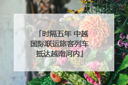 时隔五年 中越国际联运旅客列车抵达越南河内