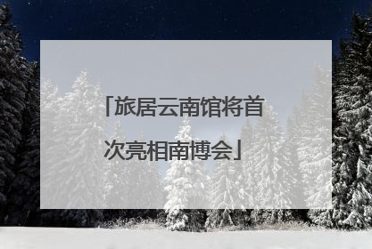 旅居云南馆将首次亮相南博会