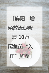 旌阳：增殖放流促修复 10万尾鱼苗“入住”旌湖