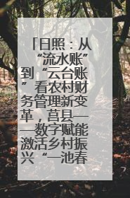 日照：从“流水账”到“云台账”看农村财务管理新变革，莒县——数字赋能激活乡村振兴“一池春水”