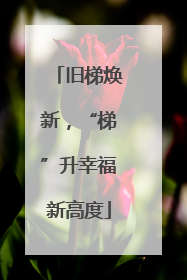 旧梯焕新，“梯”升幸福新高度