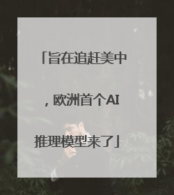 旨在追赶美中，欧洲首个AI推理模型来了
