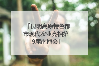 昆明高原特色都市现代农业亮相第9届南博会