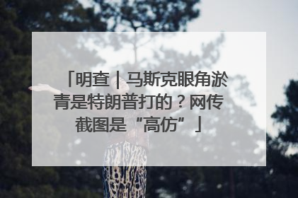 明查｜马斯克眼角淤青是特朗普打的？网传截图是“高仿”