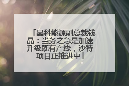 晶科能源副总裁钱晶：当务之急是加速升级既有产线，沙特项目正推进中