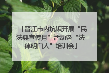 晋江市内坑镇开展“民法典宣传月”活动暨“法律明白人”培训会