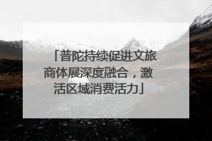 普陀持续促进文旅商体展深度融合，激活区域消费活力