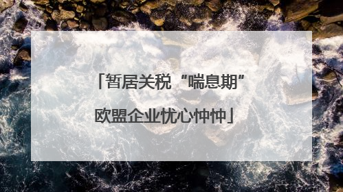 暂居关税“喘息期” 欧盟企业忧心忡忡