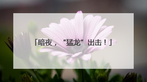 暗夜，“猛龙”出击！