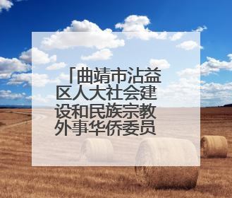 曲靖市沾益区人大社会建设和民族宗教外事华侨委员会原主任委员梅国稳被“双开”